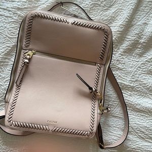 Calpak laptop backpack
